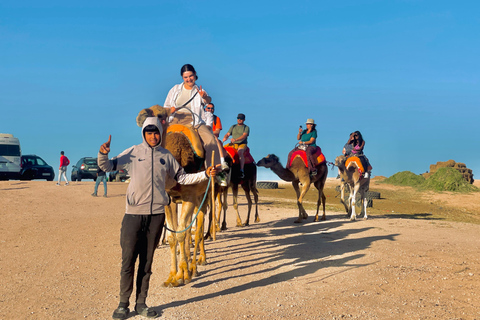 Marrakesch:Erkunde die Wüste Agafay Kamel&Quad mit Abendessen&Show