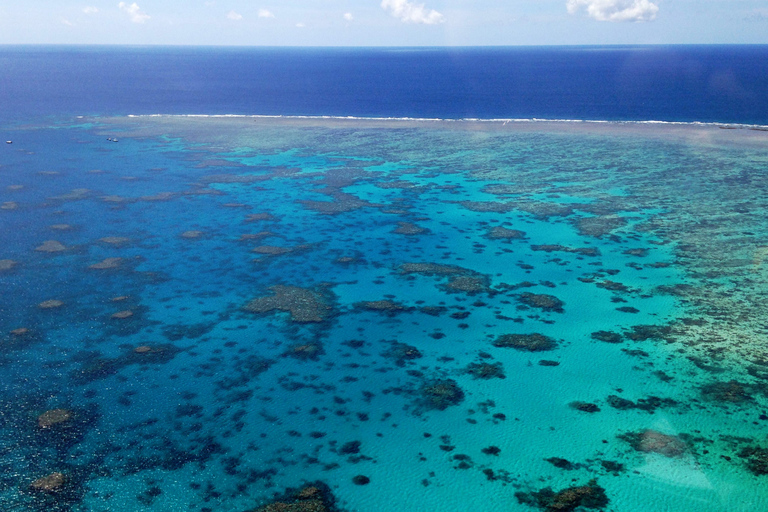 Depuis Cairns : vol de 40 min au-dessus du récif corallien