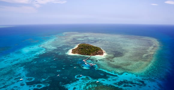 From Cairns: 40-Min Scenic Reef Window Seat Airplane Flight