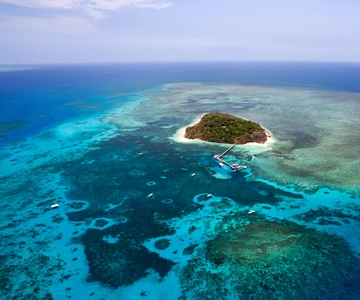 From Cairns: 40-Min Scenic Reef Window Seat Airplane Flight