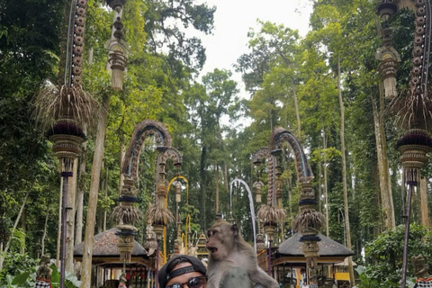 Bali: Griya Beji Water Ritual plus Monkey Forest and Swing