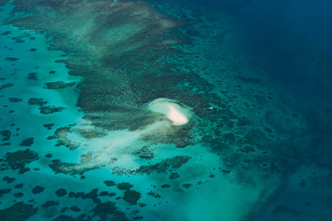 Vanuit Cairns: 40 minuten durende panoramische vliegtuigvlucht met stoel bij het rif