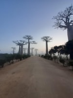Forfait de tournée d'aventure familiale de Madagascar à 11 jours - Housity