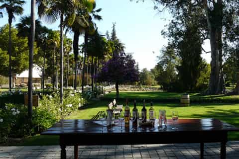 Private Tour: Premium Undurraga Vineyard Experience