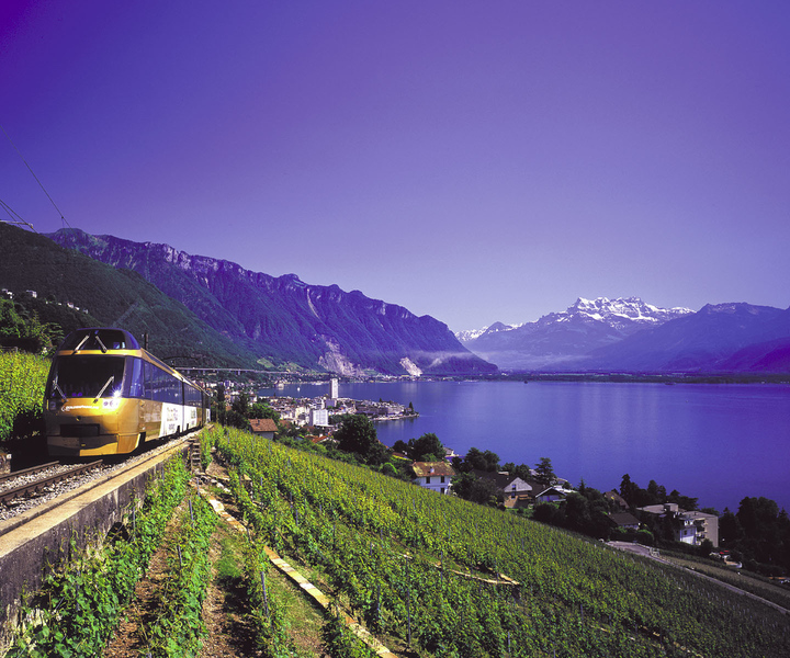 Lausanne: Tour Gruyères com degustação de queijos e chocolates