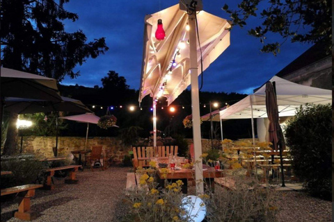 Tour, tasting, and traditional meal in Riquewihr Tour, tasting, and traditional meal in Riquewihr in English