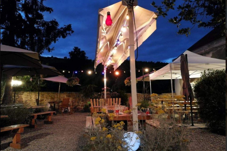 Tour, tasting, and traditional meal in Riquewihr Tour, tasting, and traditional meal in Riquewihr in English