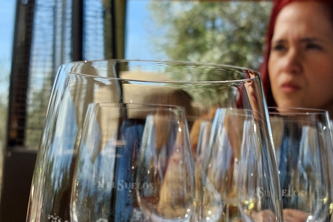 Flavors and wellness: wines, hot springs and gastronomy in Mendoza