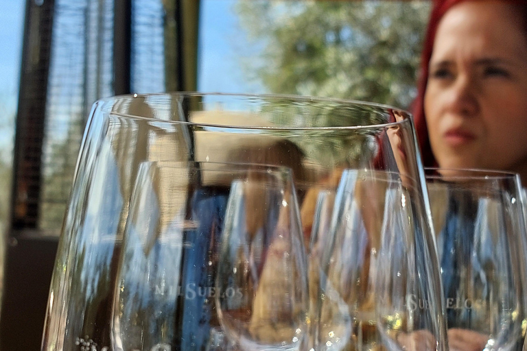 Flavors and wellness: wines, hot springs and gastronomy in Mendoza