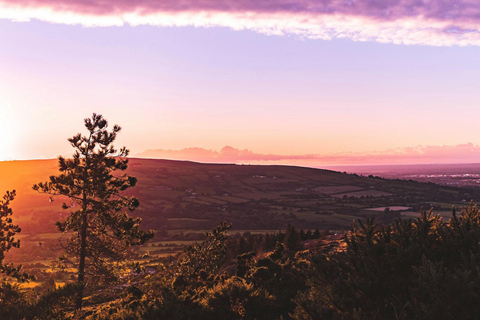 Dublin Mountains: Scenic Guided Horseback Ride 2-hr Dublin Mountains: Scenic Guided Horseback Ride