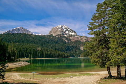 Montenegro: Lago Negro, Durmitor, ponte de Djurdjevića TaraMontenegro: Lago Negro, Durmitor, ponte Djurdjevića Tara