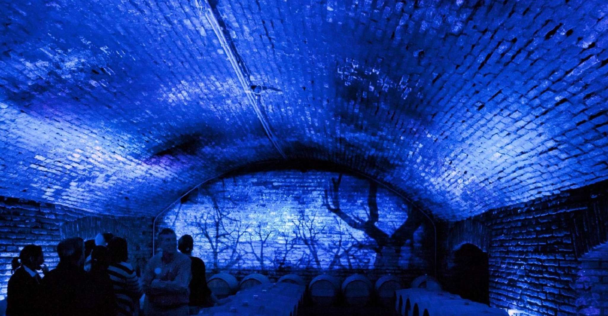 Da Santiago, Tour del Vino della Valle del Maipo - Hizvo