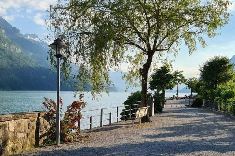 Zurich: Bernese Alps Tour with Lake Cruise & Steam Train Special Offer