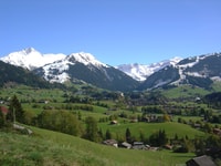 From Montreux, Glacier 3000 Day Trip - Housity