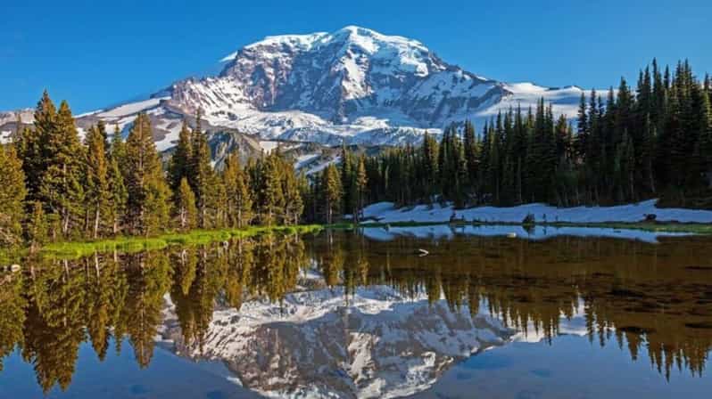Private Mount Rainier tour from Portland