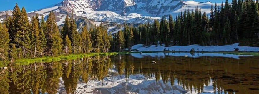 Visite privée du Mont Rainier au départ de Portland