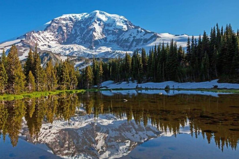 Visite privée du Mont Rainier au départ de Portland