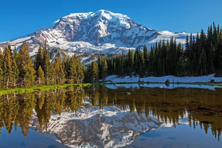 Visite privée du Mont Rainier au départ de Portland