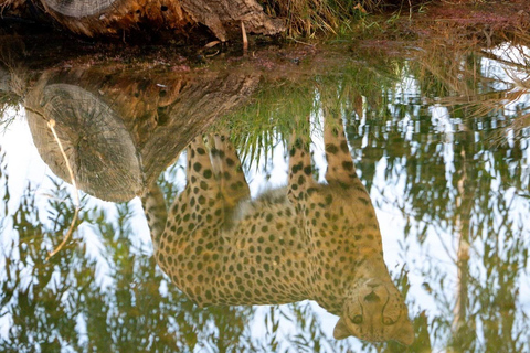 Phoenix Zoo Tour with Animal Encounters