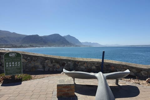 Cape Town: Hermanus Whale Watching Shared Boat & Penguins