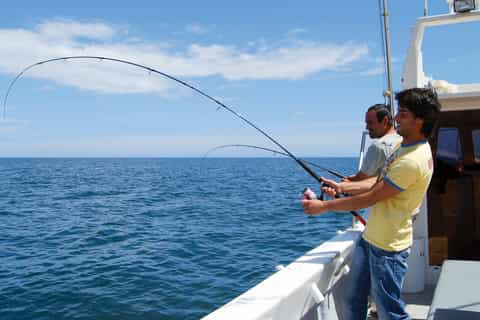 From Algarve: 3-Hour Fishing Trip
