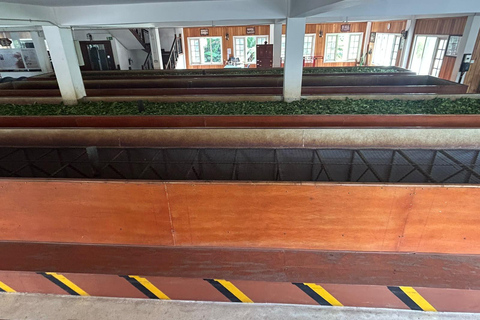 Kandy: Tuk-Tuk Sights, Culture, Shopping & Treatment