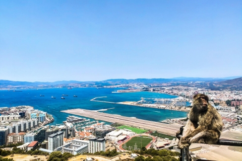 Gibraltar: premium privé dagtrip & RotstourGibraltar & Rots tour: privé dagtrip vanuit Sevilla