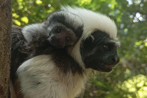 UTV & Horseback Tour with Wildlife Views from Cartagena