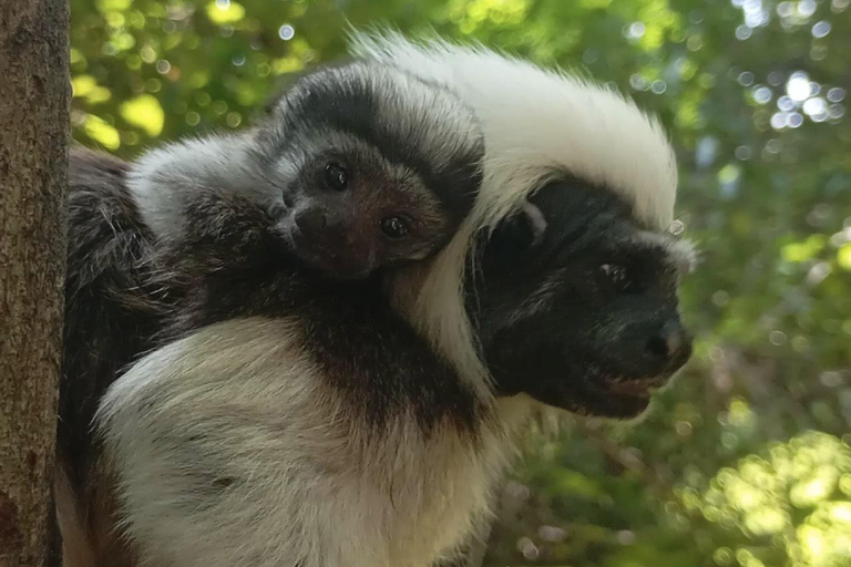 UTV & Horseback Tour with Wildlife Views from Cartagena