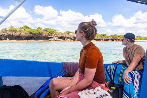 Dagtrip naar Wasini eiland om dolfijnen te kijken en te snorkelen