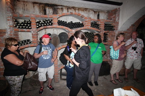 Korčula i Pelješac: Wino i kultura z DubrownikaKorcula i Peljesac Day Tour - w języku angielskim