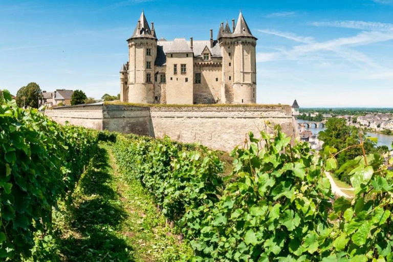 Exclusivo Día de viaje Vino Valle del Loira desde París