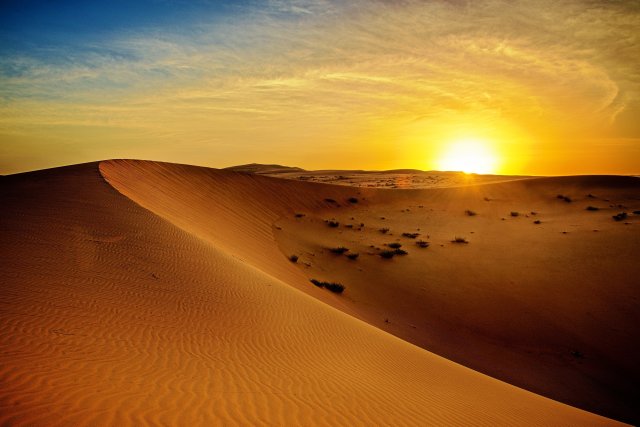 Dubai: Sunrise Desert Jeep Safari with Wildlife
