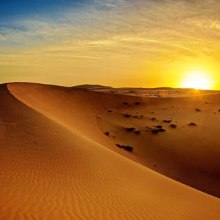 Dubai: Sunrise Desert Jeep Safari with Wildlife