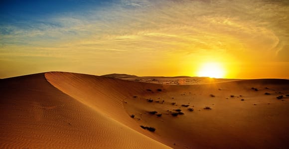 Dubai: Sunrise Desert Jeep Safari with Wildlife Experience