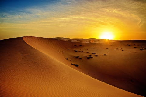 Dubai: Sunrise Desert Jeep Safari with Wildlife Group Tour