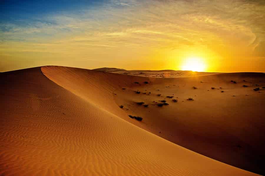 Dubai: Sonnenaufgang-Wüstensafari mit Jeep und Wildtierbeobachtung. Foto: GetYourGuide
