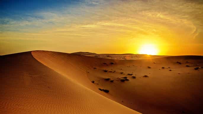 desde dubái safari de 4 horas al amanecer