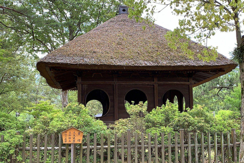 Nara Gardens and Temples Private Guided Tour with Transport