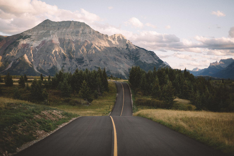 Morning Wildlife Viewing Tour - Banff/Canmore Pick-up Banff Morning Safari Drive