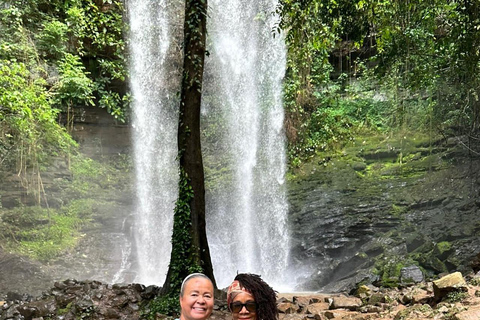 Excursion d&#039;une journée à la découverte de chutes d&#039;eau pittoresques