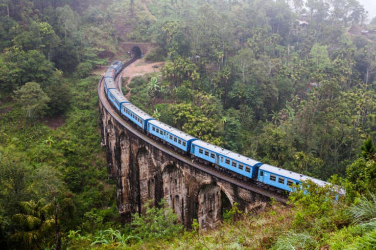 Colombo/ Negombo / South Coast to Ella Highlights Day Tour