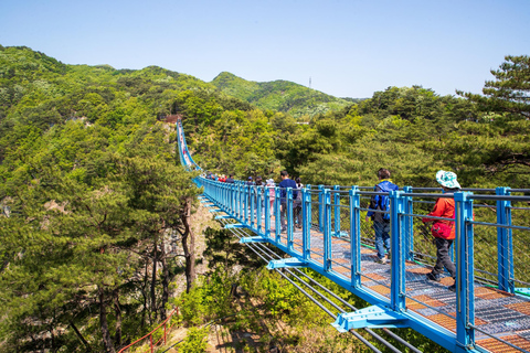 Seoul: Alpackavärld, kälkåkning och hängbroDelad tur från Hongik Univ. station