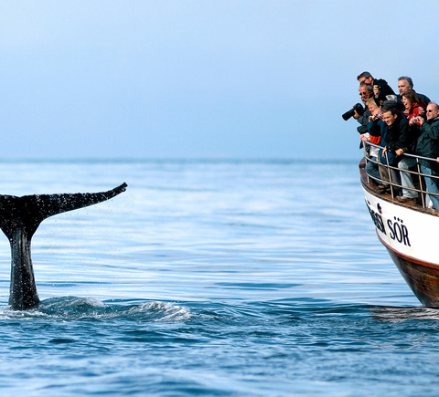 Private tours