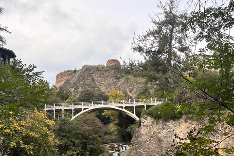 تبليسي: الشلالات والتلفريك وفرص التقاط الصور الخلابةتبليسي: شلالات وتلفريك وفرص لالتقاط صور خلابة