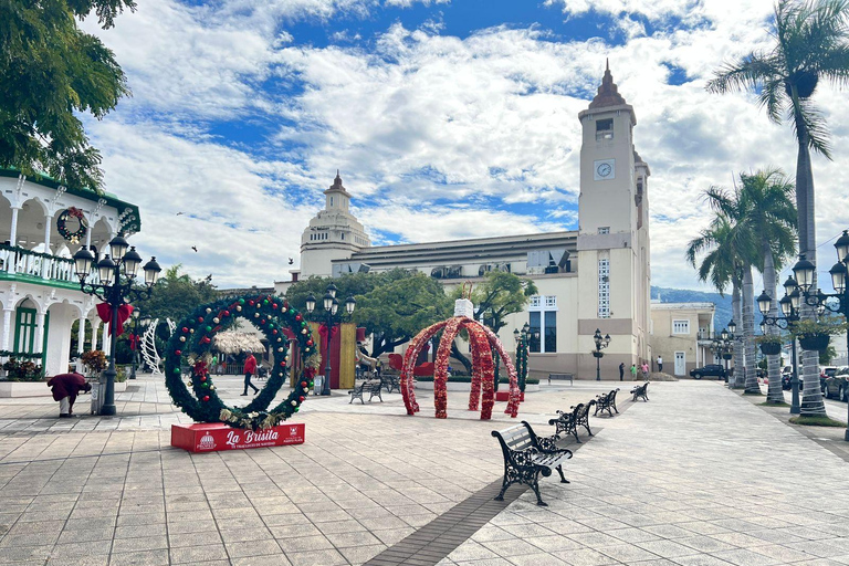 Puerto Plata: Adrenaline in Damajagua and the Essence of Dominican Life