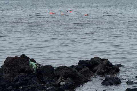 Jeju: Biyangdo Island Ferry Ride, Hike, and Lunch