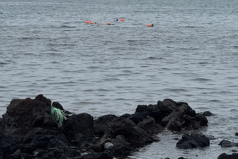 Jeju: Biyangdo Island Ferry Ride, Hike, and Lunch