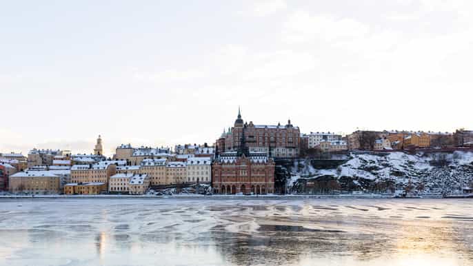 stockholm private guided tour with a local