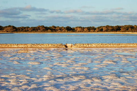 PROMENADE DANS LA NATURE, PLAGE, YOGA ET POSSIBILITÉ DE PIQUE-NIQUE BIO ET SAIN